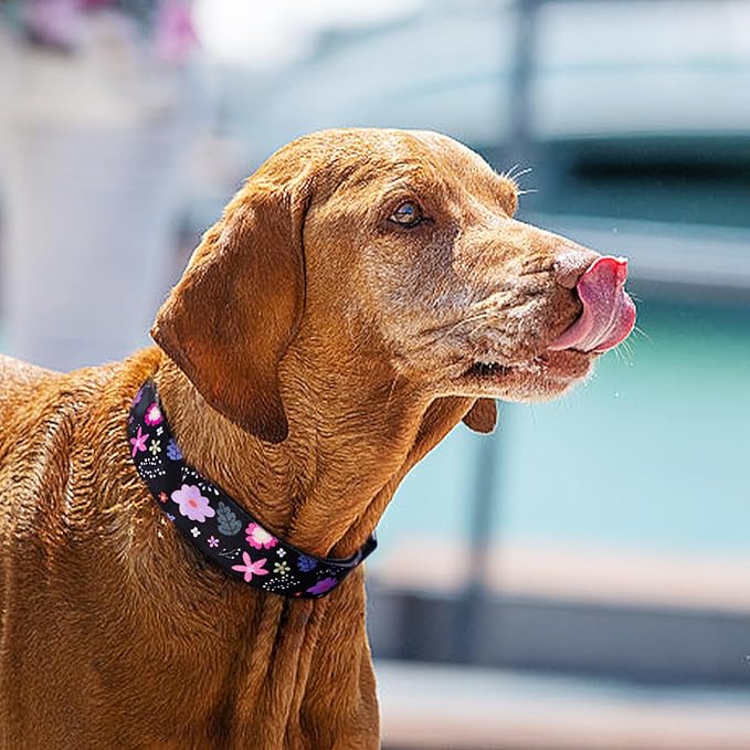 QQPETS Adjustable Soft Dog Collar: Print Flower Pink Multicolor Cute Patterns for XS Small Medium Large Pet Girl Boy Puppy Walking Running Training
