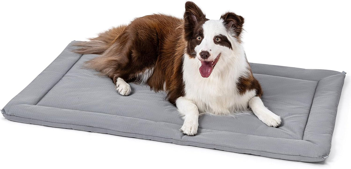 Cybarmour Chew Proof Dog Crate Pad - Outdoor Indestructible Dog Bed - Tough - Potable - Machine Washable - Water & Dirt-Resistant - Large Breeds & Fits 36-Inch Crate - 35"x22", Limestone