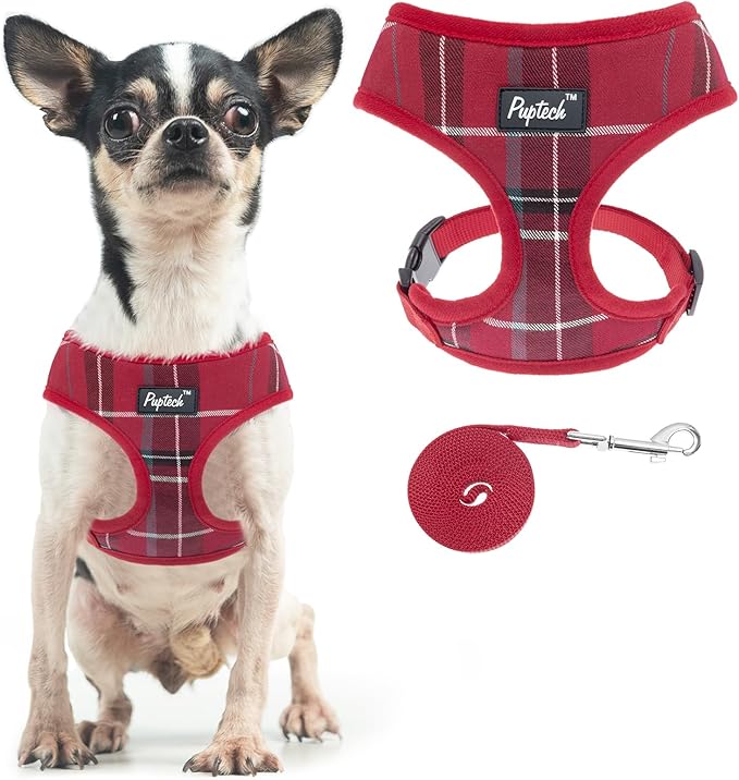 PUPTECK Soft Mesh Dog Harness and Leash Set Pet Puppy Cat Comfort Padded Vest No Pull Harnesses, Red, XS