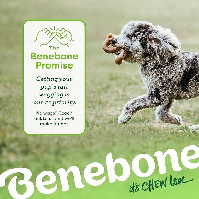 Benebone 7-Pack Medium