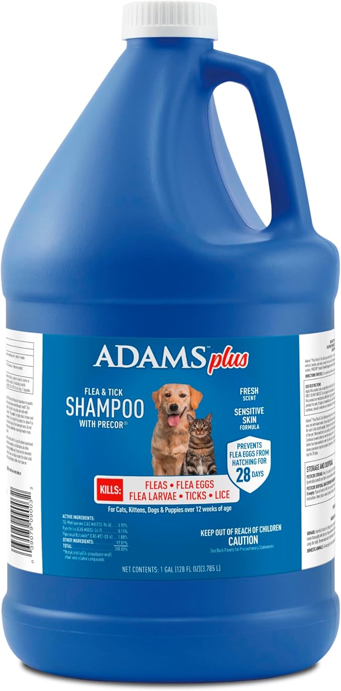 ADAMS Plus Flea & Tick Shampoo with Precor IGR for Cats, Kittens, Dogs & Puppies Over 12 Weeks Of Age, Sensitive Skin Flea Treatment, Kills Adult Fleas, Flea Eggs, Ticks, and Lice, 1 Gallon