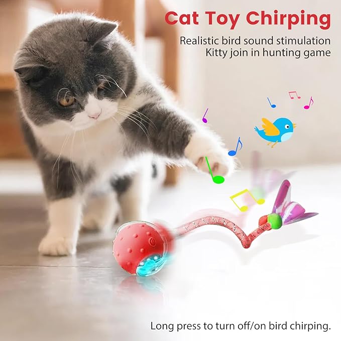 Interactive Cat Toys Ball for Indoor Cats Fast Rolling on Carpet，Colorful Plastic Spring Cat Toys 5Suit ，Automatic Kitten Toys for Bored Indoor Adult Cats，Motion Activated
