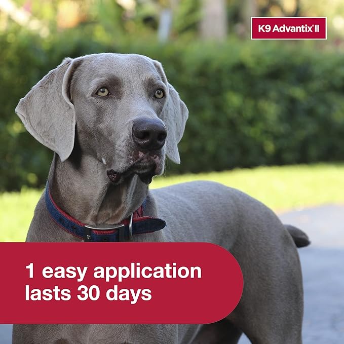 K9 Advantix II XL Dog Vet-Recommended Flea, Tick & Mosquito Treatment & Prevention | Dogs Over 55 lbs. | 4-Mo Supply (Pack of 2)