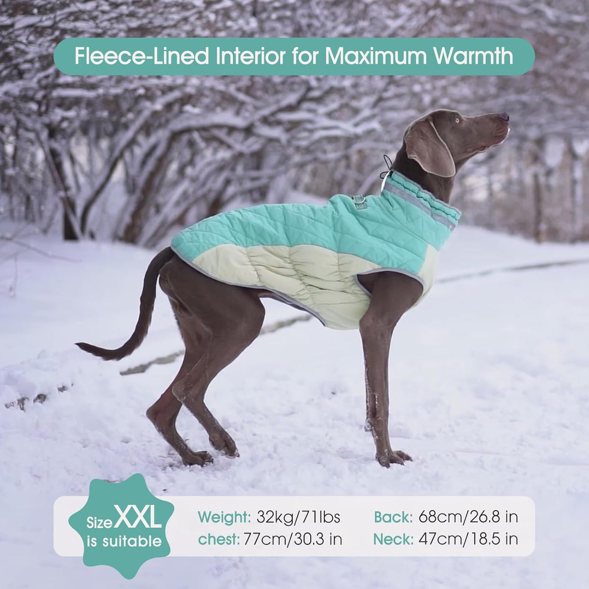 FUAMEY Dog Coat for Large Dogs,Waterproof Dog Winter Jacket with Harness Built in Puppy Cold Weather Coats Reflective Pet Vest with Zipper Warm Fleece Dogs Snowsuit Windproof Mint Green XXL