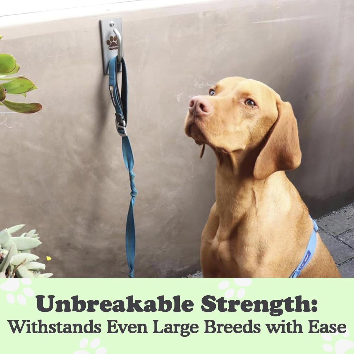 Canine Hitch- Secure Dog Leash Parking Mounted Indoor – Outdoor Wall Hook - Tie Out Stainless Steel Practical Lead Management for Home & Business, Standard Size