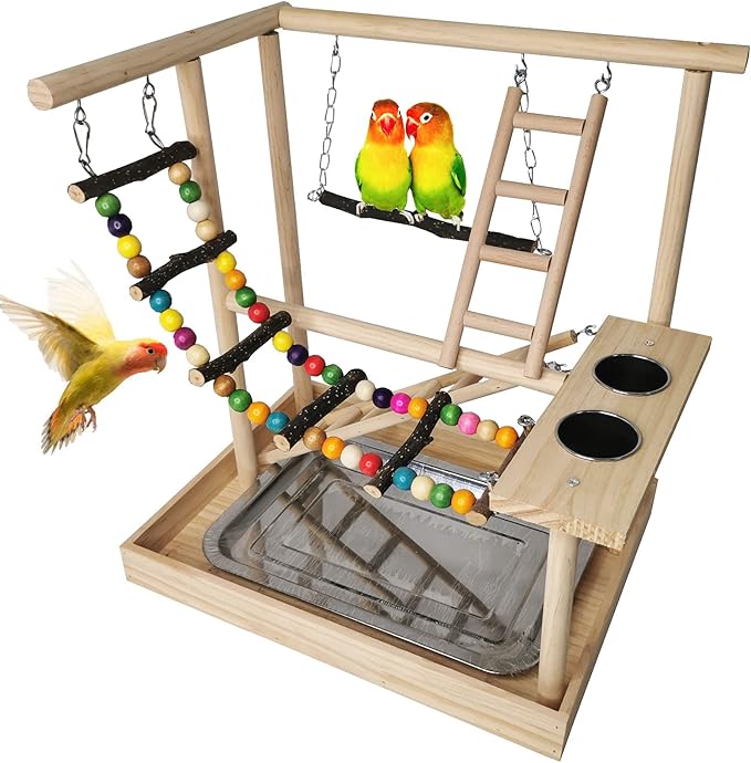 Hamiledyi Parrots Playground Bird Play Gym Wood Perch Stand Colours Climb Ladders Swing Chewing Toys with Parakeet Feeding Cups Exercise Activity Center for Conure Cockatiel Lovebirds(Include a Tray)