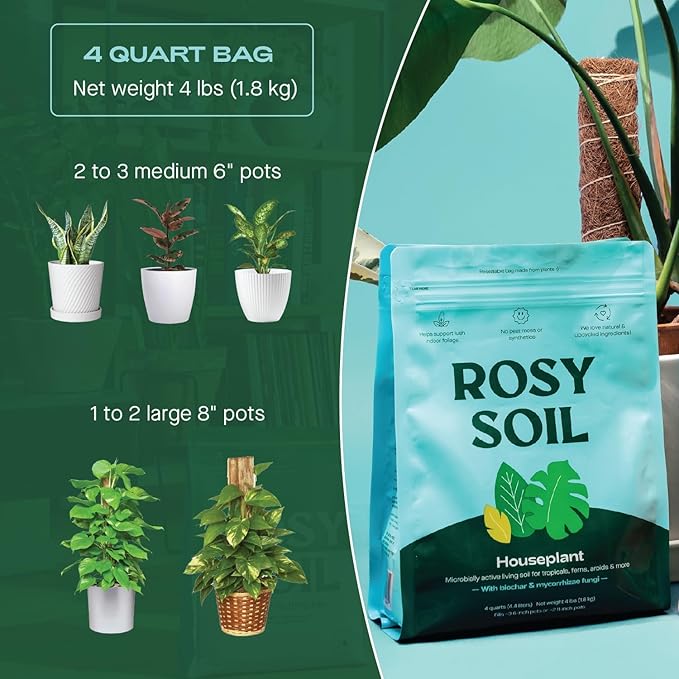 Rosy Soil Indoor Potting Soil for House Plants - Organic Potting Soil Mix for Indoor Plants - Enriched w/Root-Boosting Biochar for Foliage Plants, Flowers, Herbs - Peat Free, Less Prone to Gnats - 4qt