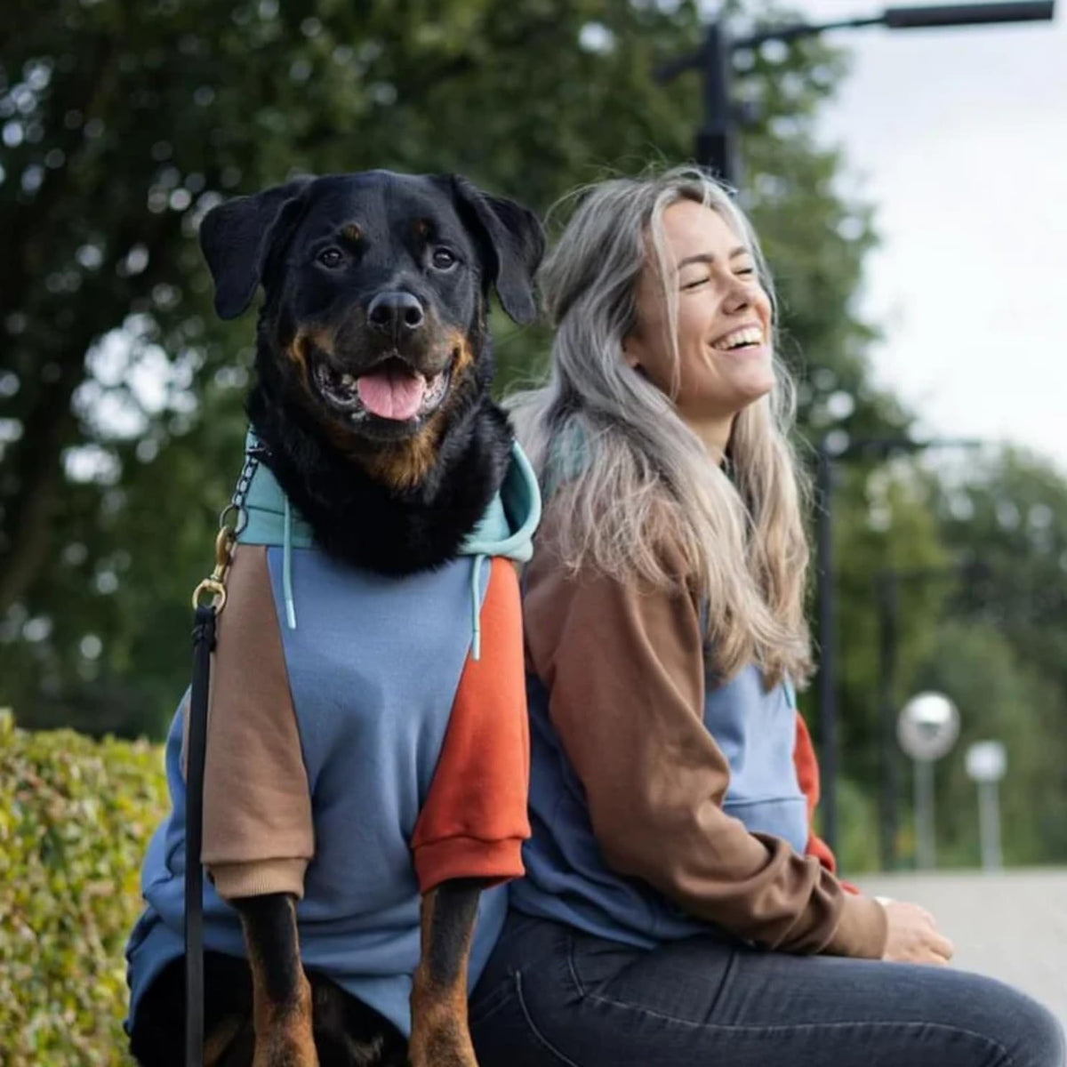 Spark Paws Dog Hoodie – Premium Dog Sweater for Small, Medium, and Large Dogs | Warm Outfits for French Bulldogs, Pitbull, Puppy, Winter Jacket Alternative - Alpine - M
