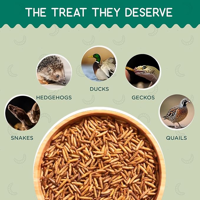4 lb Black Soldier Fly Larvae for Chickens - High Protein Chicken Feed with 75x More Calcium Than Mealworms - Healthy Poultry Treats for Ducks, Birds - Resealable Bag for Freshness