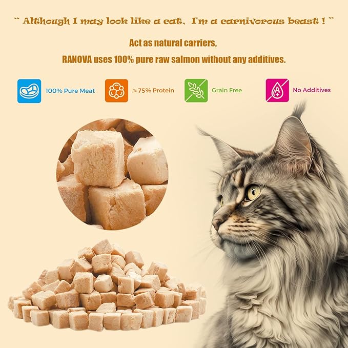 Freeze Dried Cat Treats - 100% Salmon Grain Free Raw - Natural Balance Limited Ingredient High Protein Cat Snacks 115g/4.1oz - Picky Eater Challenger