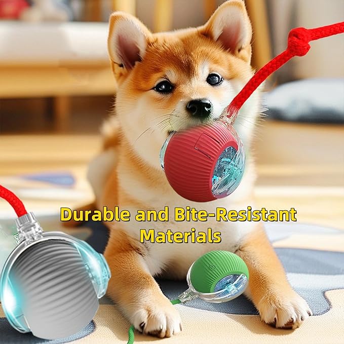 Interactive Dog Cat Toy Ball, Automatic Moving Bouncing Rolling, with Replacement Tail, Pet Smart Chase Ball Rechargeable, Enrichment Toys for Bored Indoor Adult Cats/Dogs