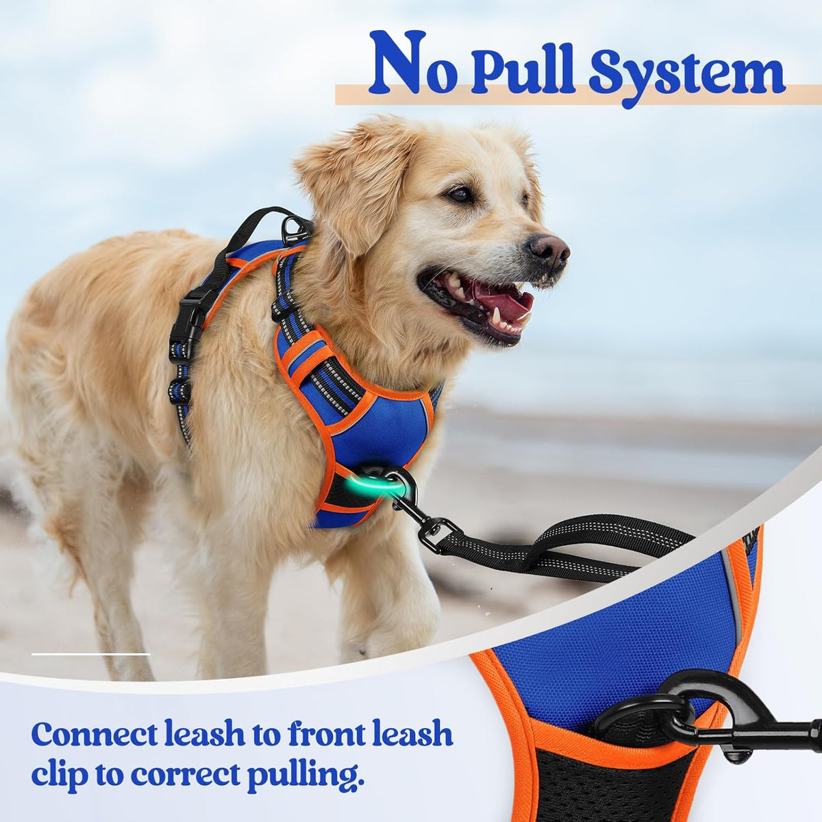 rabbitgoo Dog Harness No Pull with 2 Leash Clips, Adjustable Soft Padded, Reflective Oxford No Choke Pet Vest with Easy Control Handle for Large Dogs, Blue & Orange, L