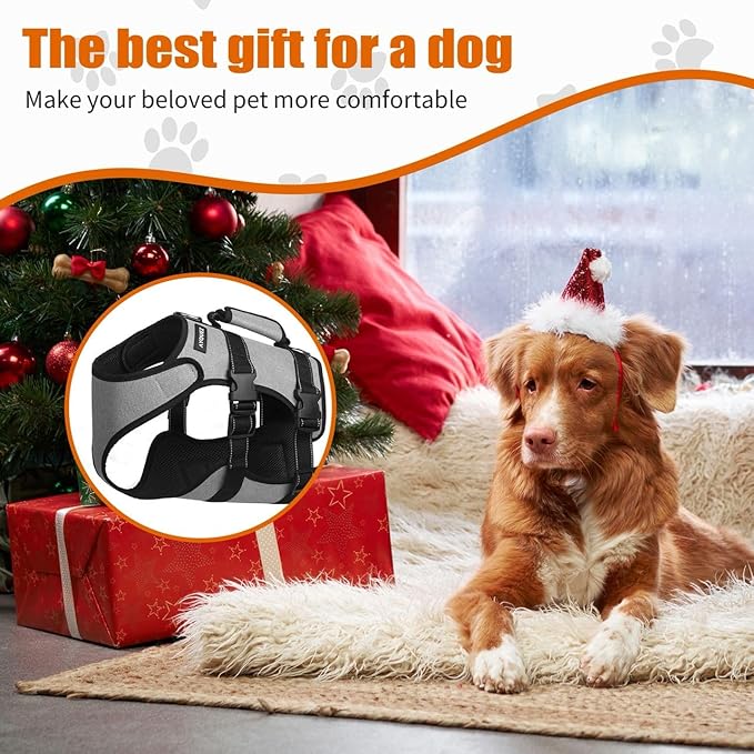 Ayquez Dog Lift Harness with Storage and Transport Bag, Dog Harness with Handle for Lifting & Hip dysplasia, arnés para Perros pequeños, pechera para Perros (Gray, L)