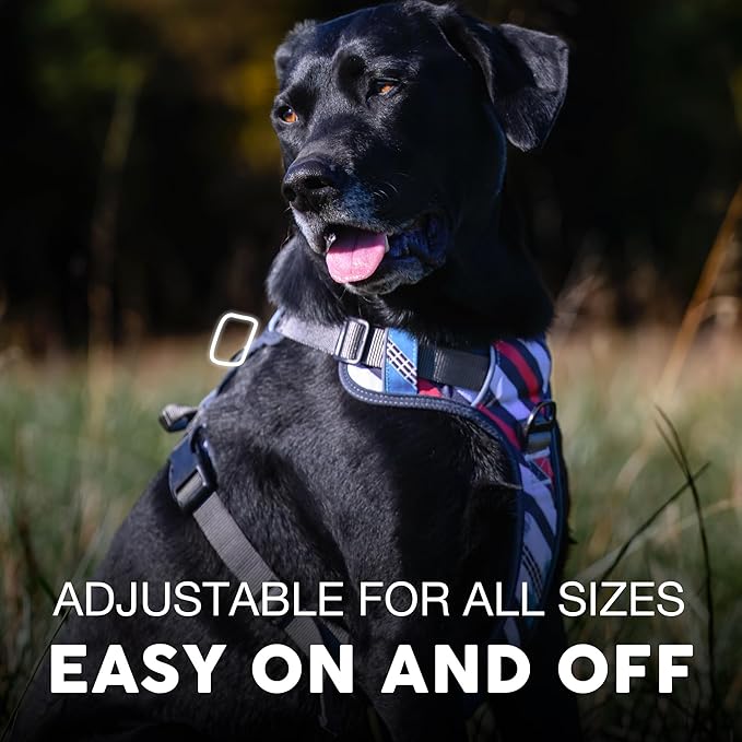 Embark Adventure Dog Harness, Reflective Trim No Pull Dog Harnesses for Small Sized Dogs - Military Grade Nylon, Front Clip with Gel Lined Handle.