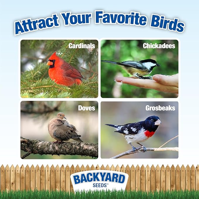 Backyard Seeds Premium Blend Bird Seed to Attract Songbirds - Wild Bird Food Mix with Black Oil Sunflower (7 Pounds)