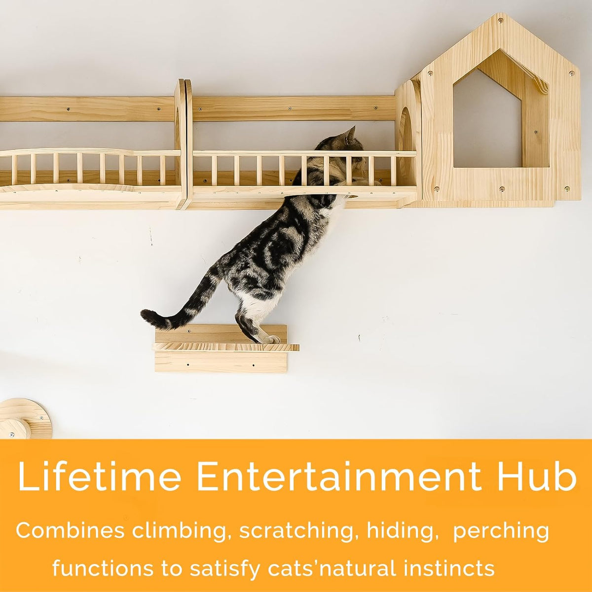 Cat Wall Shelves and Furniture Set with Condos, Perches, Bridge Ladders, Sisal Scratching Posts - Steps and Houses for Cats (D)