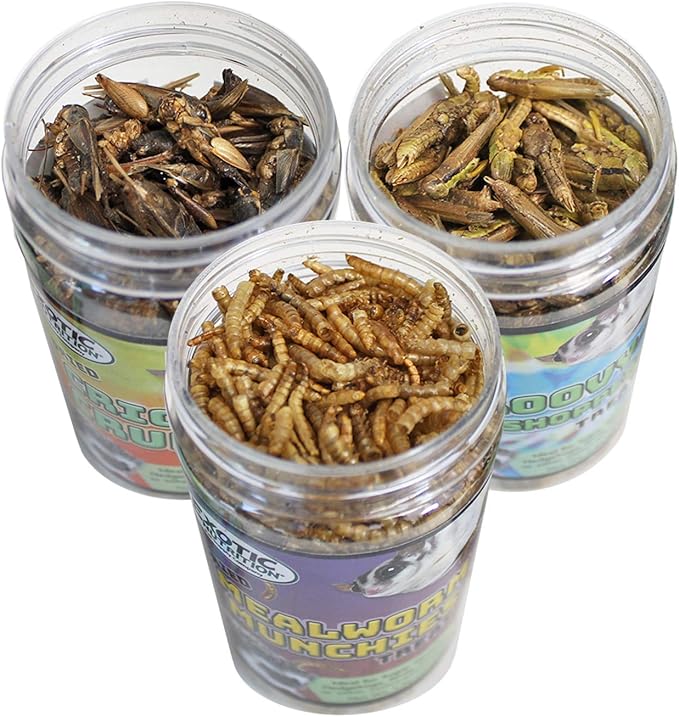 Exotic Nutrition Dried Insect 3 Pack - Crickets, Grasshoppers, Mealworms - for Sugar Gliders, Hedgehogs, Wild Birds, Chickens, Turtles, Tropical Fish, Reptiles…
