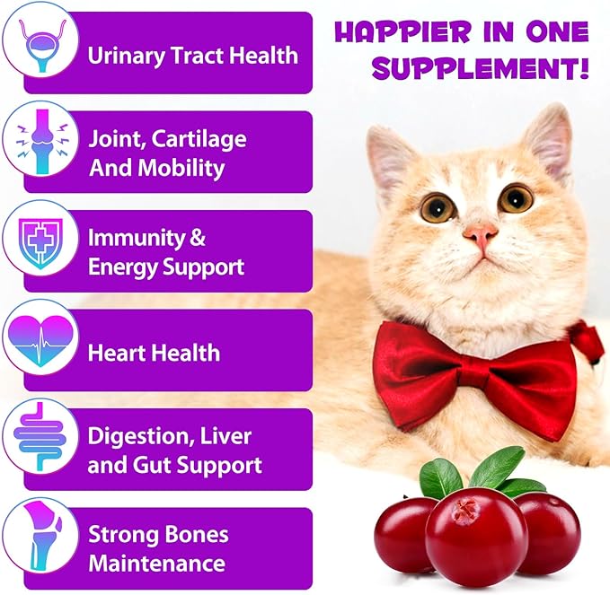 Liquid Multivitamin for Cat, 15 in 1 Cats Multivitamin Liquid Drops Supplements for Skin & Coat, Heart Health, Bones and Joint, Cat Vitamins with Glucosamine and MSM, Immune System Support -60ml
