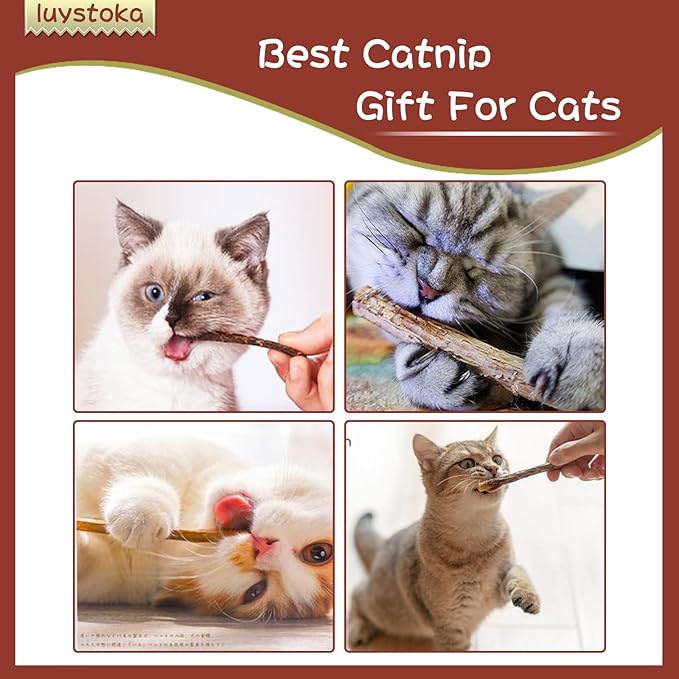 Silvervine Sticks for Cats, 30PCS Kitten Toys Catnip Toys Matatabi Silvervine Sticks Kitty Chew Toys Wooden Stick Kitten Teething Toys Molar Suitable for Cats of All Ages