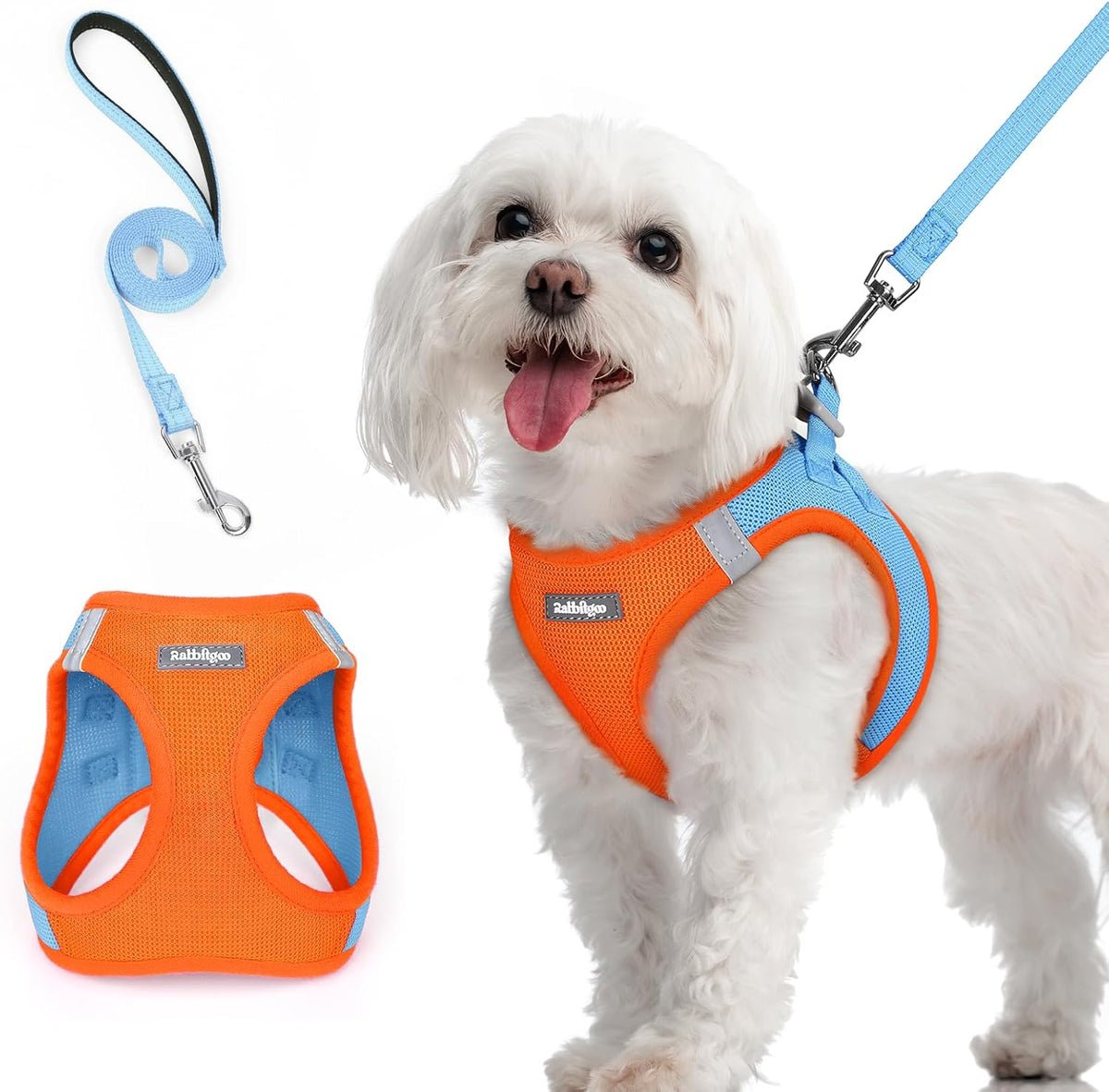 rabbitgoo Dog Harness Small Sized and Leash Set, Step in Soft Light Puppy Vest, Breathable Mesh Pet Harness, Reflective for Safe Easy Walking, Blue & Orange M