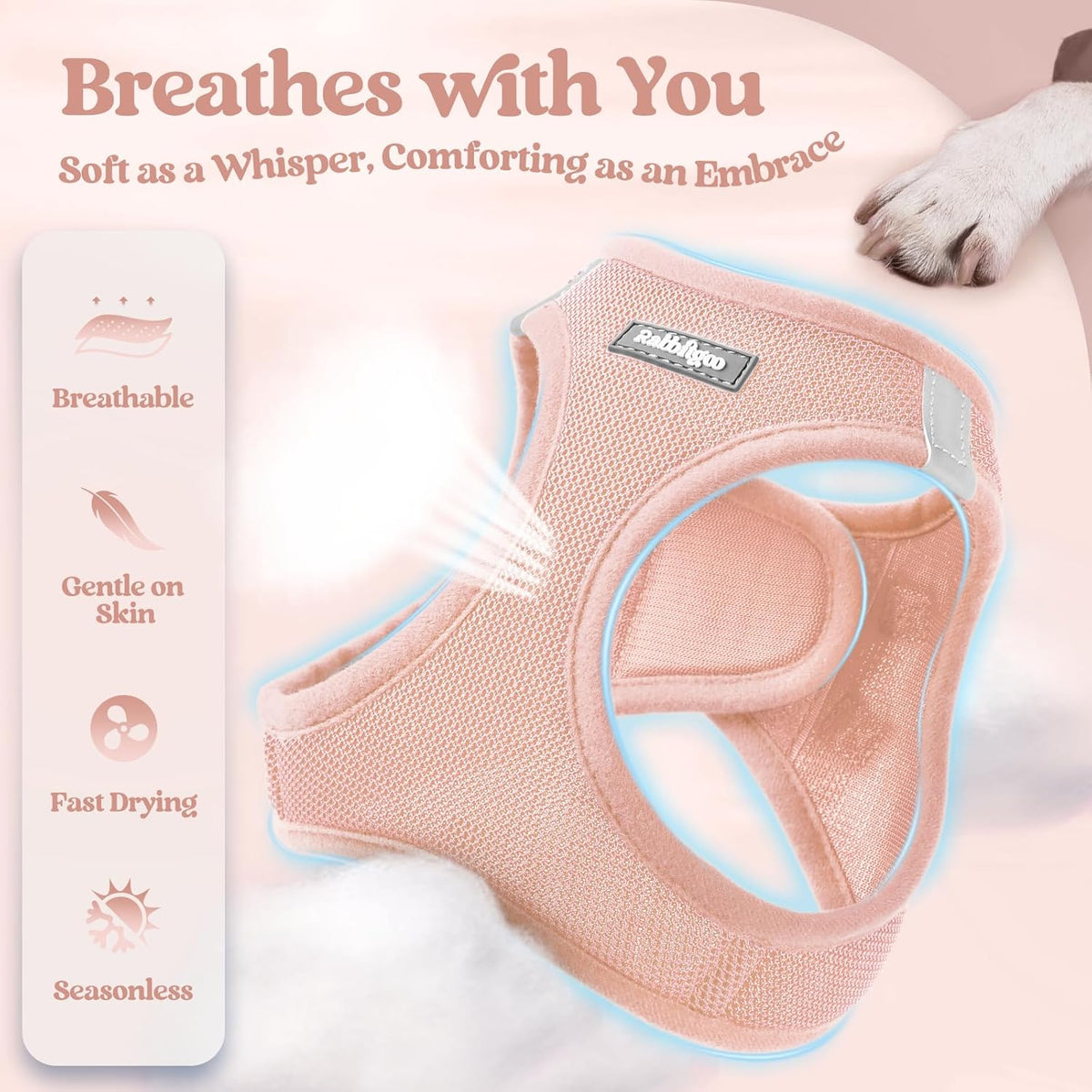 rabbitgoo Dog Harness Small Sized and Leash Set, Step in Soft Light Puppy Vest, Breathable Mesh Pet Harness, Reflective for Outdoor Safe Walking, Pink XXL