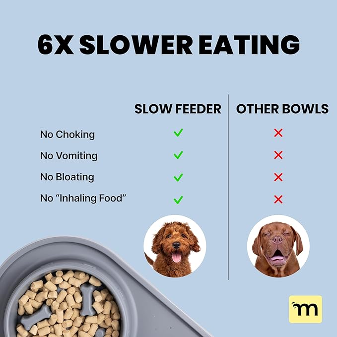 MalsiPree Cat & Dog Slow Feeder Bowl – Improve Digestion – Stainless Steel Water Bowl & Anti-Spill Silicone Mat – for Small & Medium Breeds – 15 oz - Puppy Slow Feeder