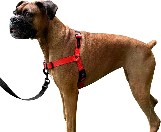 ShawnCo Dream Walk No-Pull Dog Harness- Adjustable, Comfortable, Easy to Use Pet Halter to Help Stop Pulling for Small, Medium and Large Dogs (Mustang Red, S)