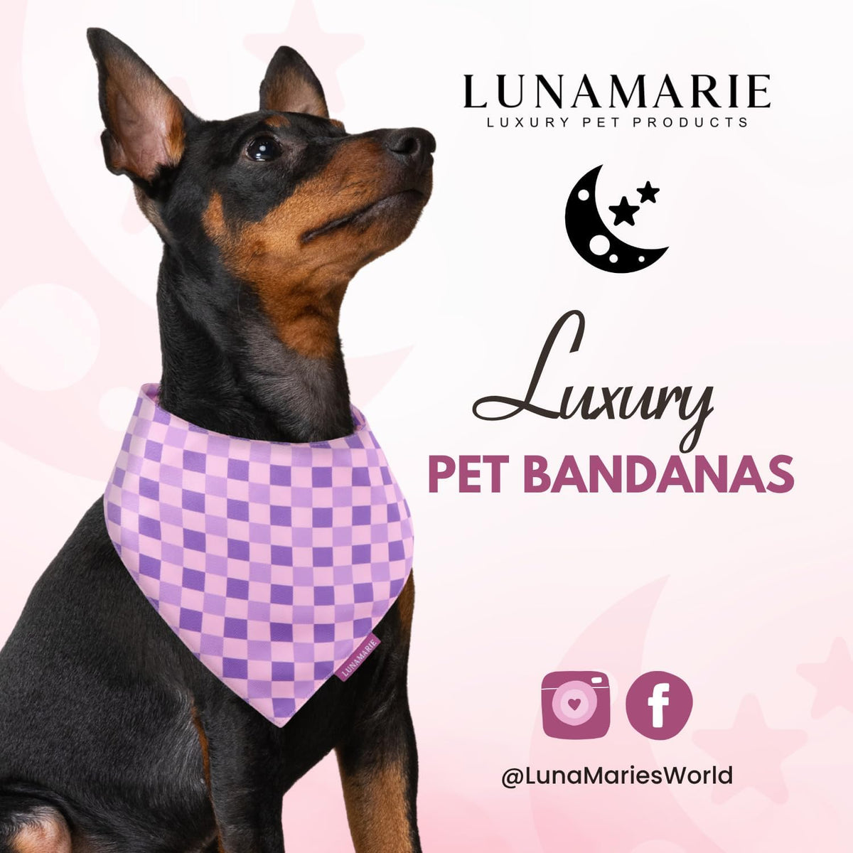LunaMarie - Luxury Pet Birthday Bandanas -Premium & Silky Poly Fabric | 100% Handmade | Custom Shape Dual Layered (Violeta Rebel, Small)