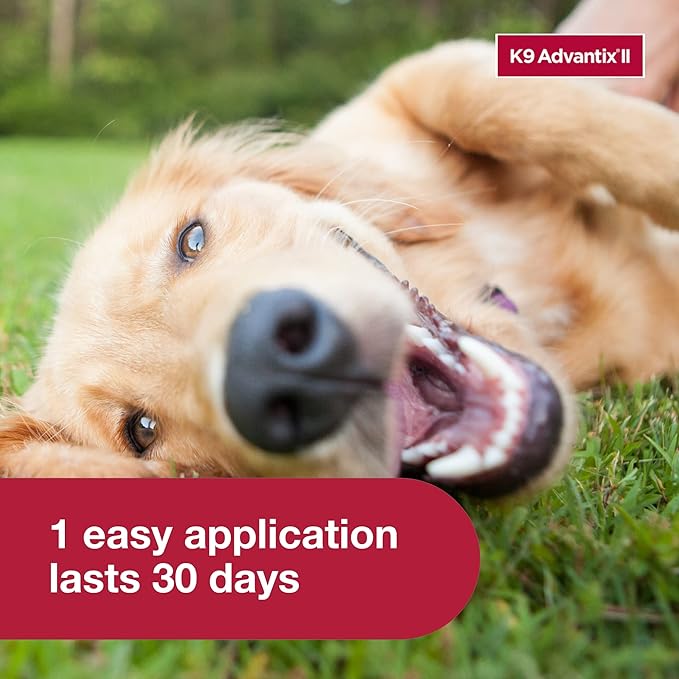 K9 Advantix II Large Dog Vet-Recommended Flea, Tick & Mosquito Treatment & Prevention | Dogs 21-55 lbs. | 1-Mo Supply (Pack of 3)
