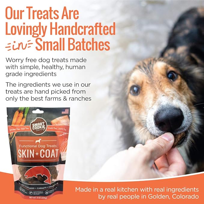 Smart Cookie All Natural Dog Treats - Healthy Skin & Coat Salmon Dog Treats - Ideal for Sensitive Stomachs or Itchy, Allergic, Dry Skin - Dehydrated, Crunchy, Human-Grade, Made in USA - 8oz, Pack of 1
