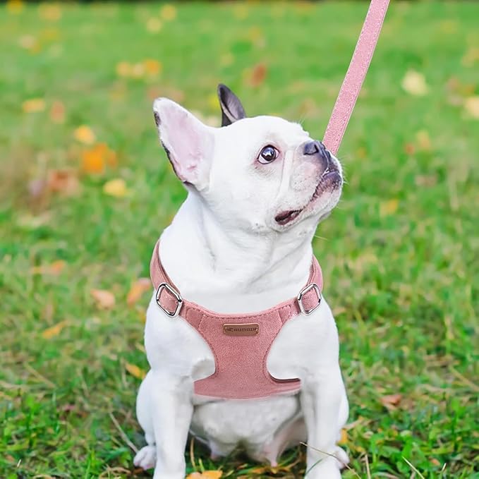 Dog Harness and Leash Set, XXS No Pull Adjustable Puppy Harness with Multifunction Pink Dog Leash and Dog Collar, Soft No Choke Escape Proof Pet Harness Vest for Small Dogs and Cats (Red, S)