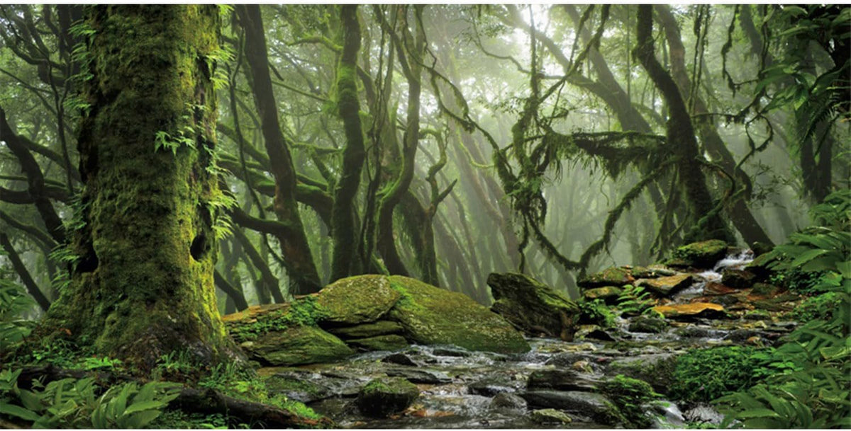 AWERT Foggy Forest Terrarium Background - Stream Green Huge Tree Reptile Habitat - Tropical Rainforest Aquarium - 48x20 inches - Durable Polyester