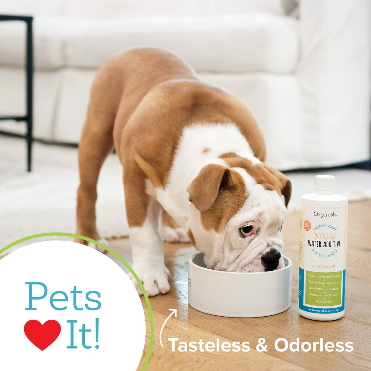 Oxyfresh Premium Pet Dental Care Solution Pet Water Additive: Best Way to Eliminate Bad Dog Breath and Cat Bad Breath - Fights Tartar & Plaque - So Easy, Just Add to Water! Vet Recommended 128 oz.