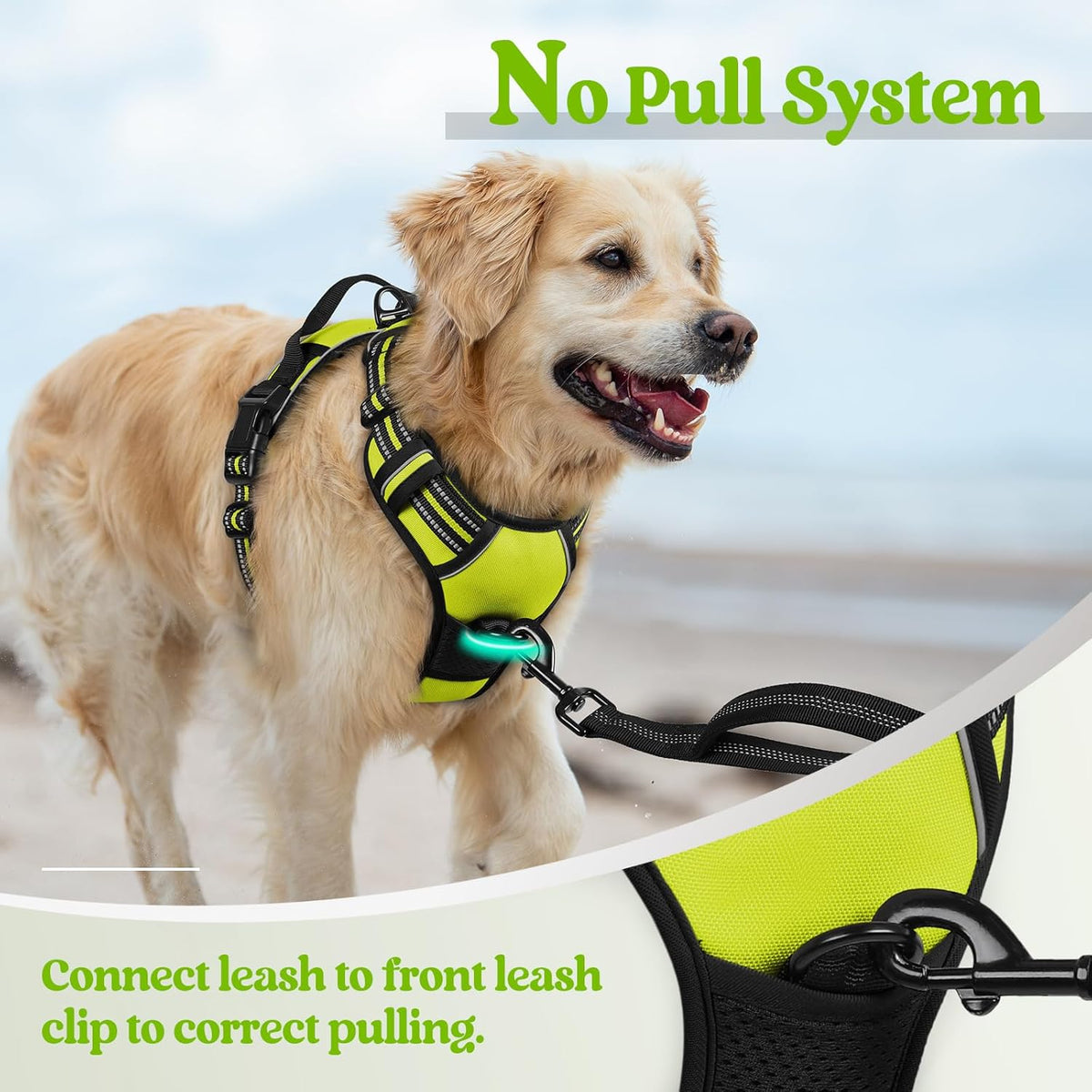 rabbitgoo Dog Harness No Pull with 2 Leash Clips, Adjustable Soft Padded, Reflective Oxford No Choke Pet Vest with Easy Control Handle for Small Dogs, Wild Lime,S