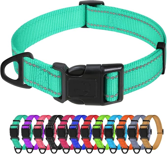 TagME Reflective Nylon Dog Collars, Adjustable Classic Pet Collar with Quick Release Buckle for Small Dogs, Turquoise, 3/4" Width