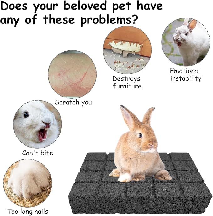 Hamiledyi 8PCS Rabbit Scratching Pads Bunny Lava Grinding Claw Pads Small Animal Foot Pads Hamster Scratch Board Chew Toys for Gerbil Chinchilla Hedgehog Guinea Pig Cage Accessories