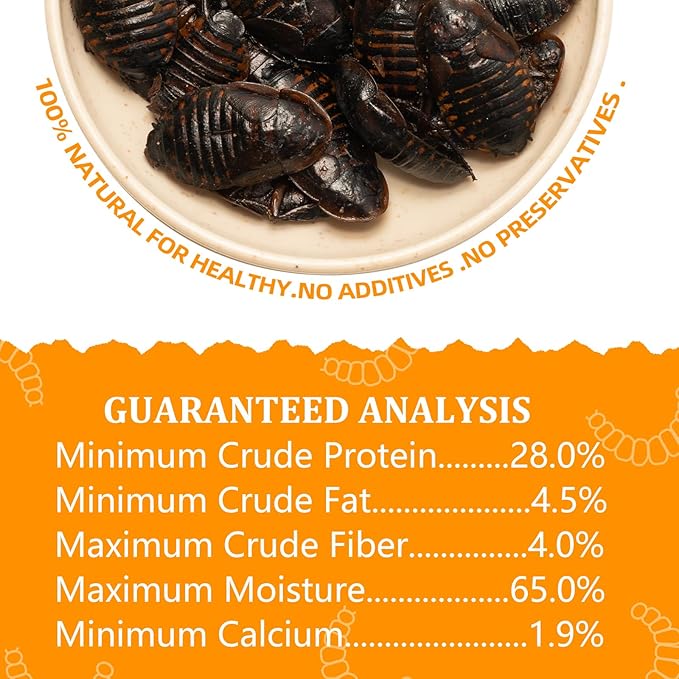 6 Pack Canned Dubia Roaches for Reptiles, Birds and Small Animals, Dubia Roaches, Healthy High Protein Treat, Reptile Food 7.2 Ounces Total