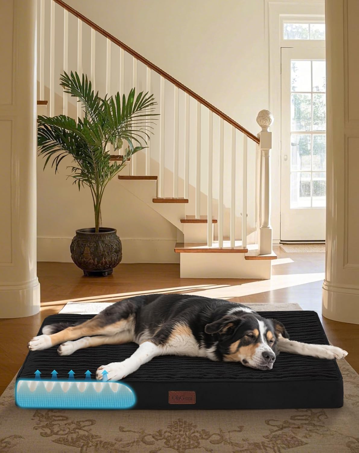 OhGeni Orthopedic Waterproof & Machine Washable Dog Bed for Medium Large Pets, Suitable for Crates, 25D Egg Crate Foam, Non-Slip Bottom & Removable Cover, Invisible Zipper, 35 Inches(Black)