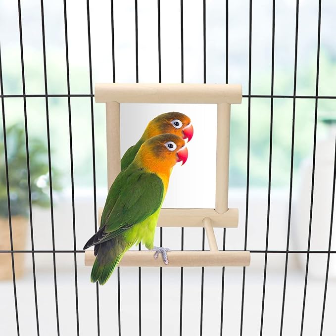 Bird Mirror with Perch Bird Toys for Parrots Budgies Parakeets Cockatiels Lovebirds Finches Canaries