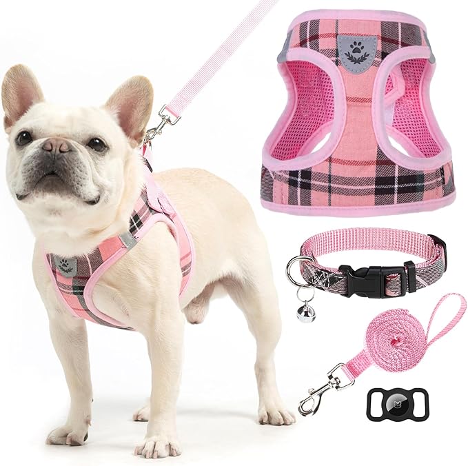 EXPAWLORER Classic Plaid Puppy Harness - Small Dog Harness and Leash Set - Dog Collar and Leash Set with AirTag Holder, Soft Padded Step in Dog Vest Harness No Pull Reflective for Outdoor, Pink XS