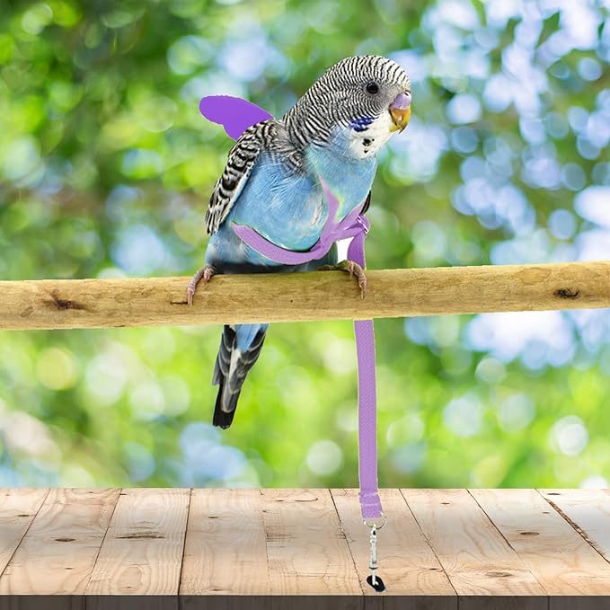 Dnoifne Pet Parrot Bird Harness and Leash, Adjustable Training Design Anti-Bite, Bird Nylon Rope with Cute Wing for Parrots, Suitable for Scarlet, Keck, Mini Macaw and Same Size Birds (Light Purple)
