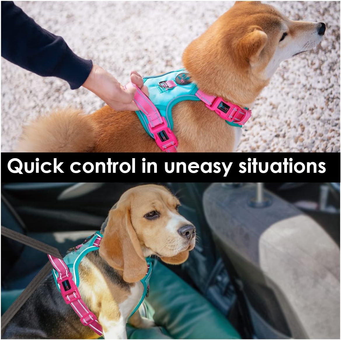 PHOEPET No Pull Dog Harness, Unique Colors Reflective Adjustable Dog Vest, with Soft Training Handle Metal Clips for Small Medium Large Dogs (Mint Green Base & Pink Straps,XS)