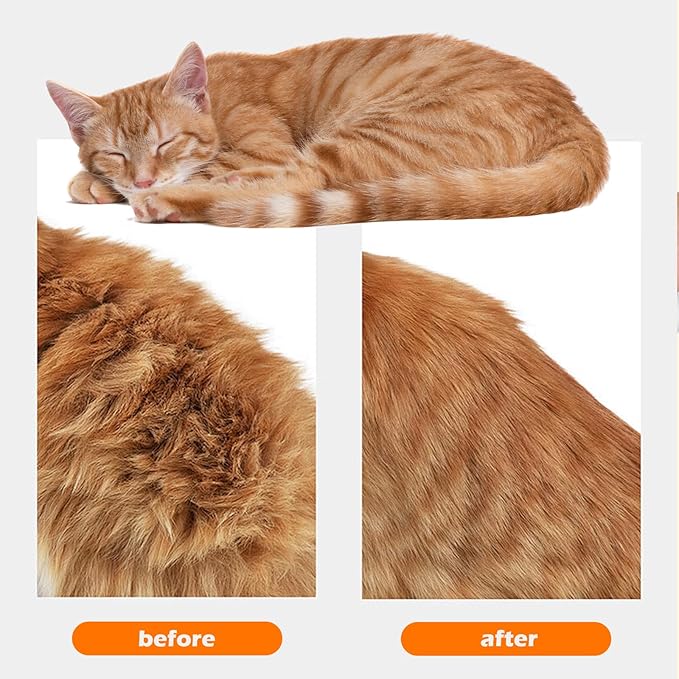 Cat Steam Brushes for Shedding, 4 in 1 Rechargeable Steam Cat Brush for Indoor Cats & Dogs, Grooming Comb with Spray