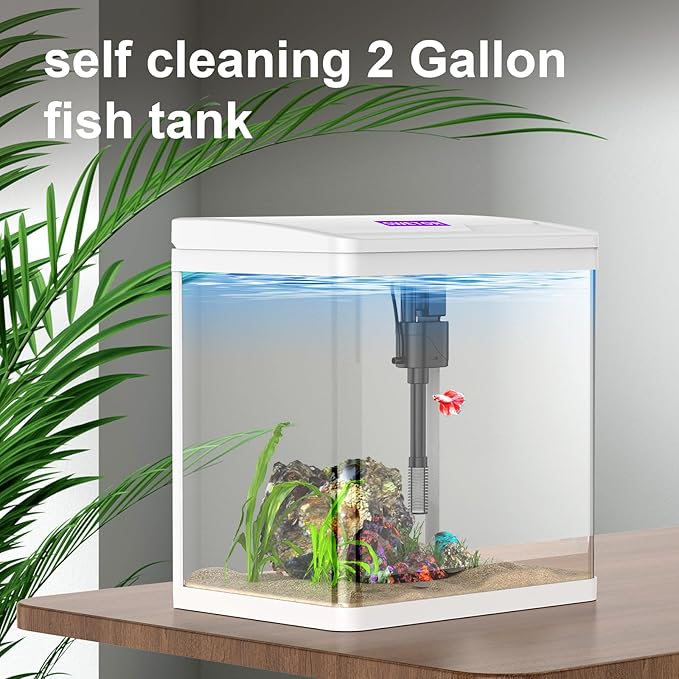 2 Gallon Betta Fish Tank Starter Kit, Self-Cleaning Aquarium with Built-in Filter and LED Light