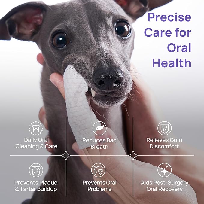 HICC PET Dog Dental Care, Oral Hydro Gel Teeth Cleaning and Breath Freshener for Dog and Cat, Relieve Gum Redness, Soothes Inflammation, Reduce Tarter and Plaque, Safe for All Animals, 2 Fl Oz