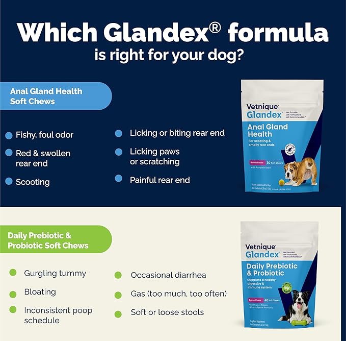Vetnique Glandex Daily Probiotics for Dogs with Prebiotics to Support Gut Health with Fiber and Digestive Enzymes, Probiotic Chews or Powders (8.5oz Powder, Pork Powder)