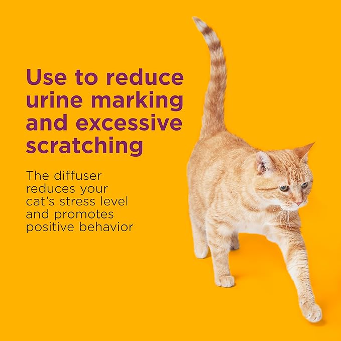 COMFORT ZONE Multi Cat Calming Diffuser Refill, 6 Pack – Cat Calming Pheromone Refills Help Reduce Anxiety, Stress, Scratching, Urine Marking, Multi-Cat Aggression, (30-Day Refills, 180-Day Supply)