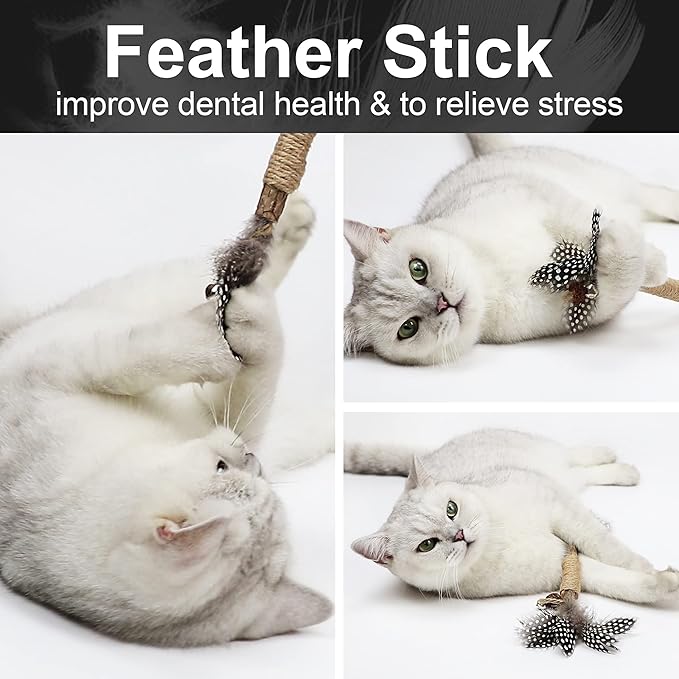 PAZ'S GIFT Catnip Toy Cat Toys Catnip Toy cat chew Toy cat Kicking silvervine Stick Teeth Cleaning Cute Kitten Teething Indoor Interactivecat Dental Care Matatabi (Feather 2pcs)