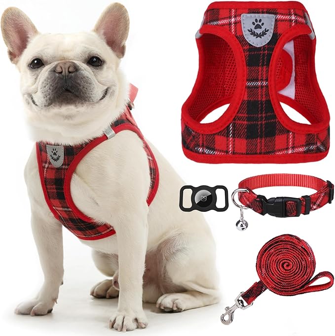 EXPAWLORER Classic Plaid Puppy Harness - Small Dog Harness and Leash Set - Dog Collar and Leash Set with AirTag Holder, Soft Padded Step in Dog Vest Harness No Pull Reflective for Outdoor, Red XXS