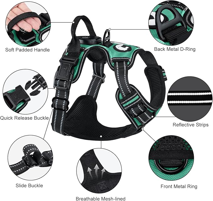 Taglory Light Up Dog Harness, Rechargeable No Pull Dog Vest with 3 Lightning Modes, Reflective Dog Harness with 2 Leash Clips & 4 Adjustable Slide Strips for Small Dogs, Turquoise-Green, S